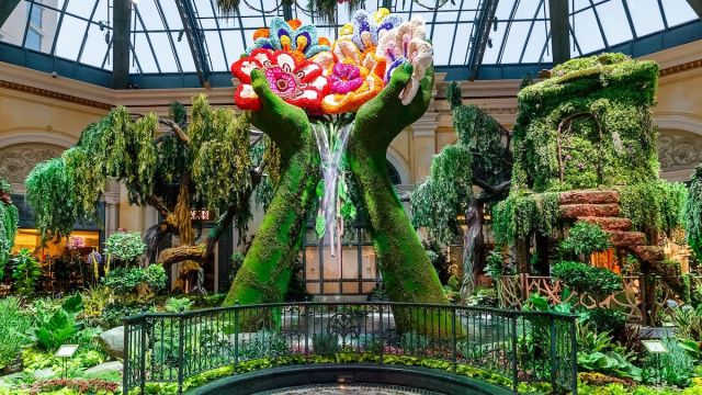 Take a peak at the glorious green and magical feeling gardens of Bellagio’s Conservatory & Botanical Gardens at the Bellagio in Las Vegas.