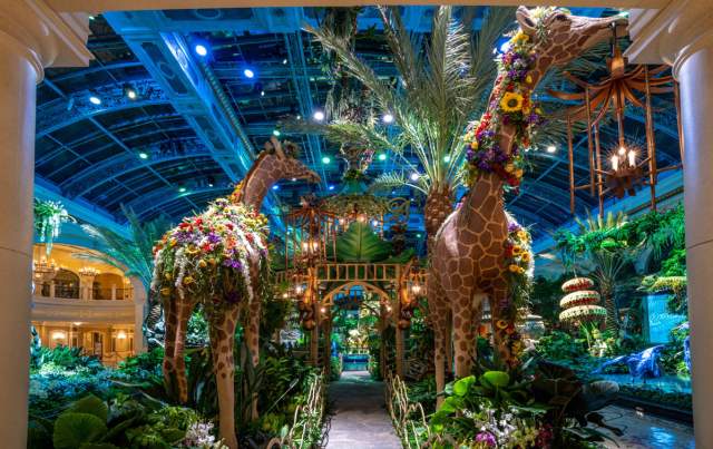 Two large giraffes adorned in flowers at the Bellagio Conservatory & Botanical Gardens.