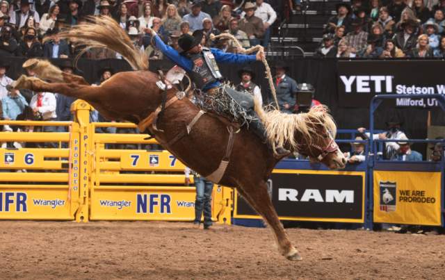 A man rides a bucking horse.