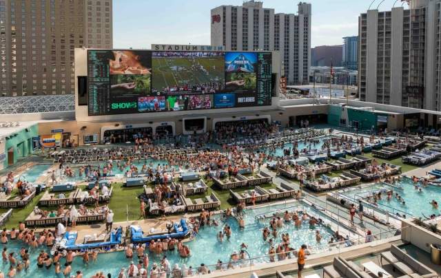 Stadium Swim