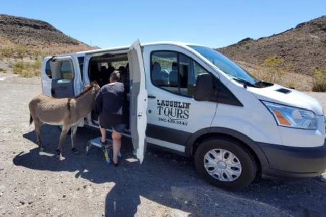 Laughlin tours