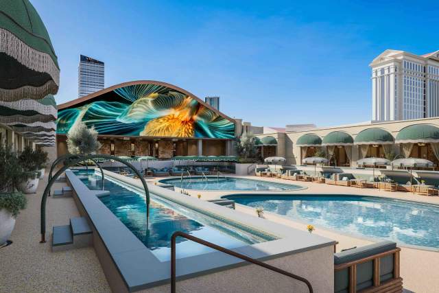 OMNIA day club new