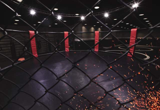 UFC 335: Oliveira vs Lopes