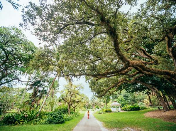 Woman walking along path at Flamingo Gardens Botanical Garden and Everglades Wildlife Sanctuary