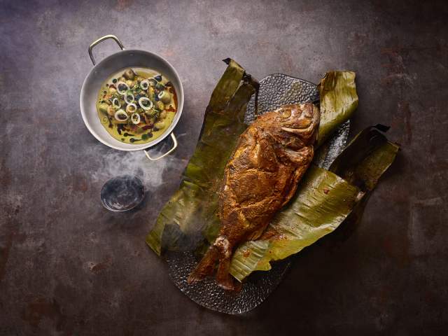 Maroon - Banana Leaf Snapper