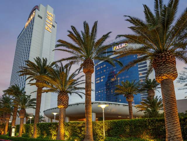 Row of palm trees below Palms Casino Resort
