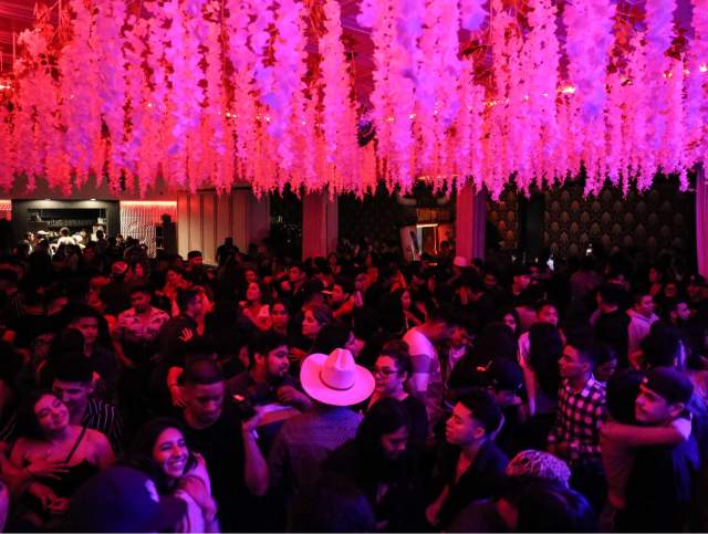 Banda World - Live Banda X Perreo Party