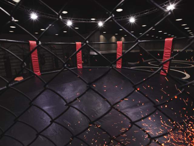 UFC 335: Oliveira vs Lopes