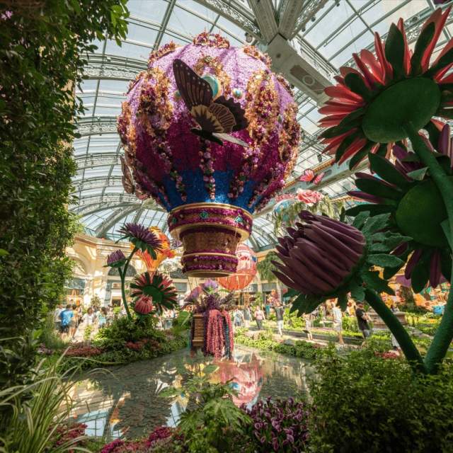 Bellagio Conservatory & Botanical Gardens