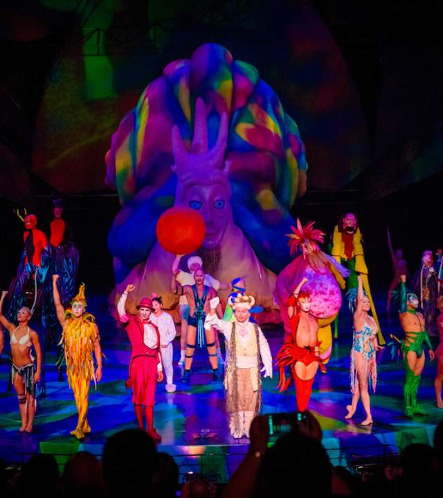 A group of performers on stage at the Mystere by Cirque du Soleil show.