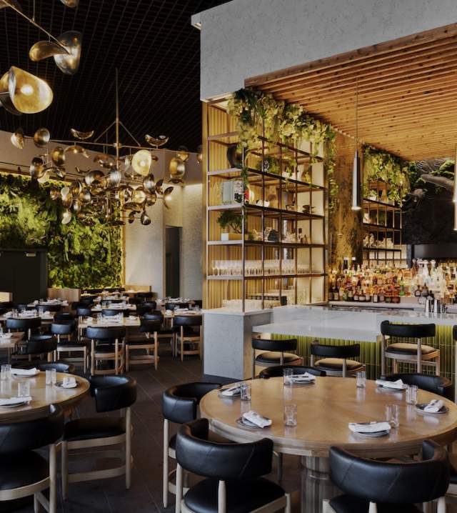 Brightly lit dining area with very modern feel and a green wall. PHOTO CREDIT CONNIE ZHOU