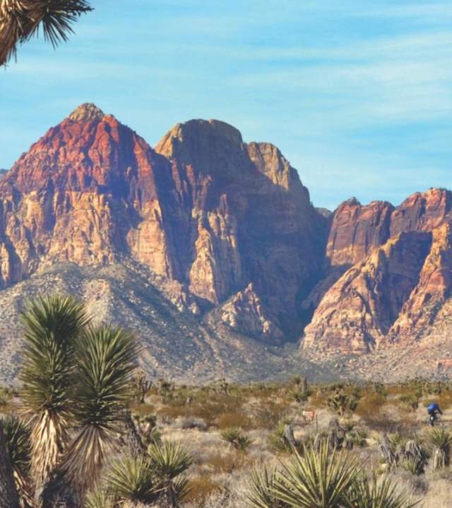 red rock canyon