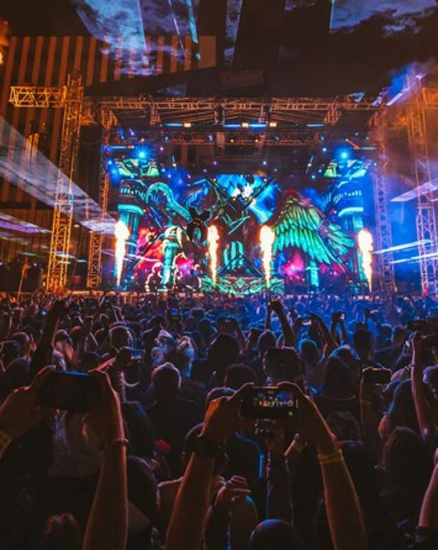 GinaJoyChong_DLVEC_Excision_2.8.20_cropped