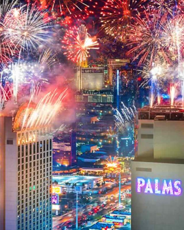 Palms fireworks