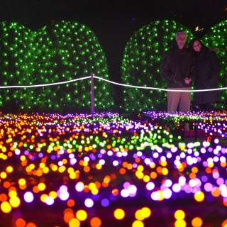 Winter Lights at the Arboretum