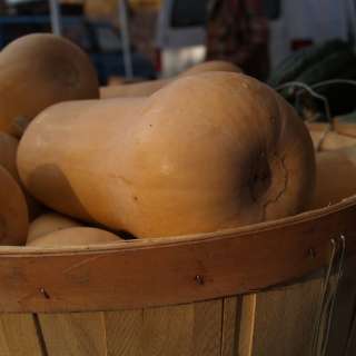 Holiday Farmers Tailgate Markets in Asheville
