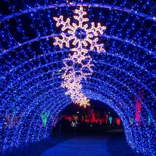 Winter Lights 2018