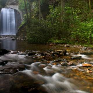 Looking Glass Falls