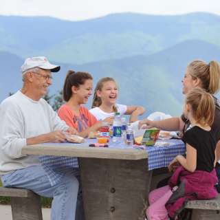 Picnic at Richland Balsam