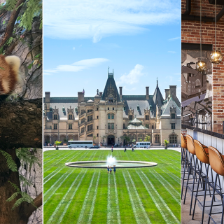 What's New in Asheville 2019