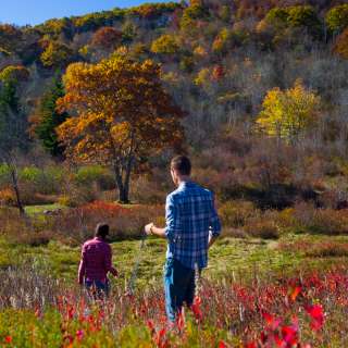 Graveyard Fields in Fall