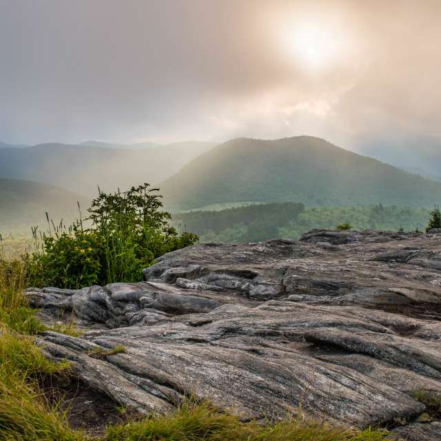 Easy Hiking Trails in Asheville Outdoor Activities Asheville, NC's