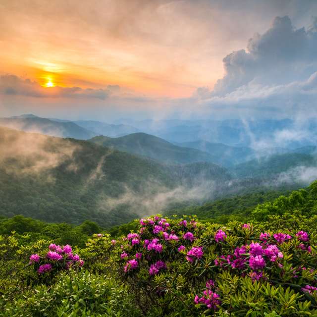 best time to visit asheville nc in the spring