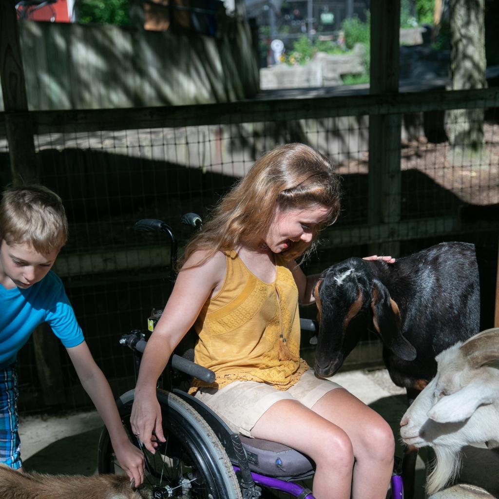 Petting the farm animals at John Ball Zoo in Grand Rapids
