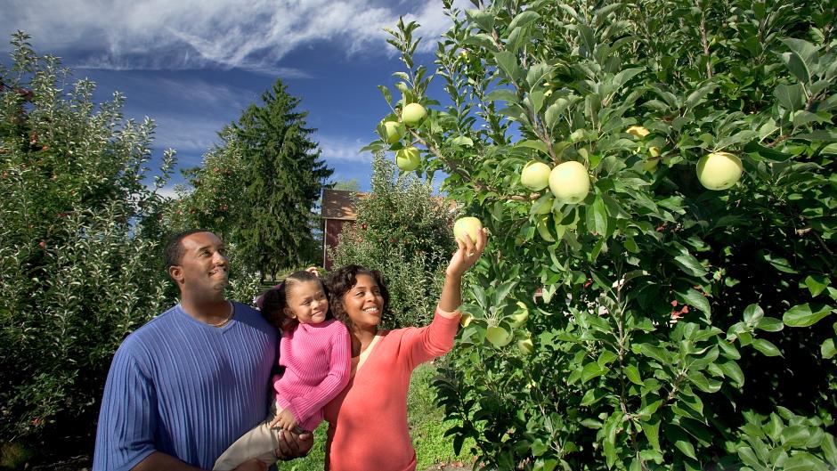 Getting outside to pick apples at Robinette's Apple Haus & Winery is a West Michigan Tradition.