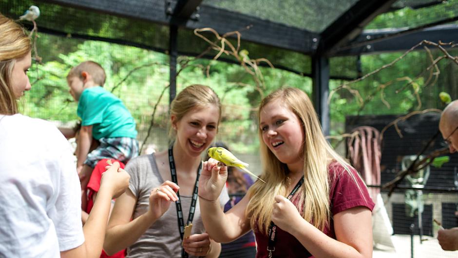 Families observing the animals at John Ball Zoo in West Side neighborhood