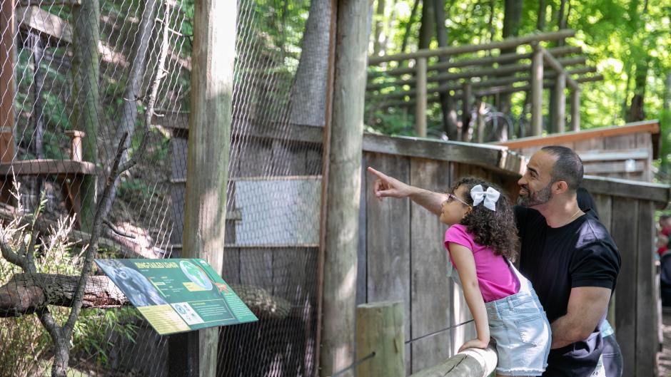 Pointing at an animal exhibit at the John Ball Zoo.