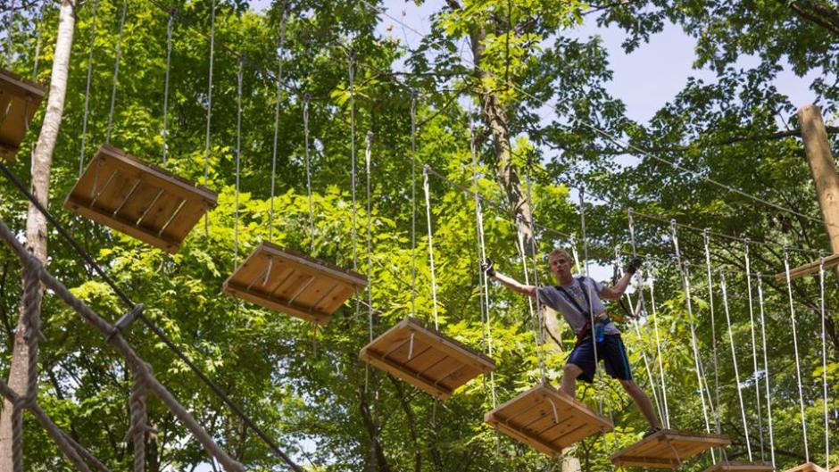 Treetop Adventure