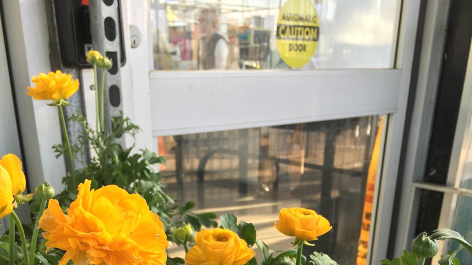 Brighten up your garden with these cheerful yellow flowers!