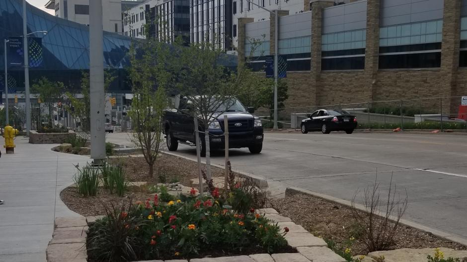 Raingarden near the Helen DeVos Children's Hospital.