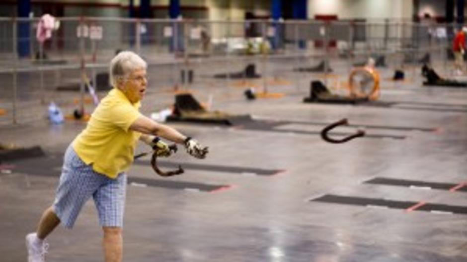 Horseshoes