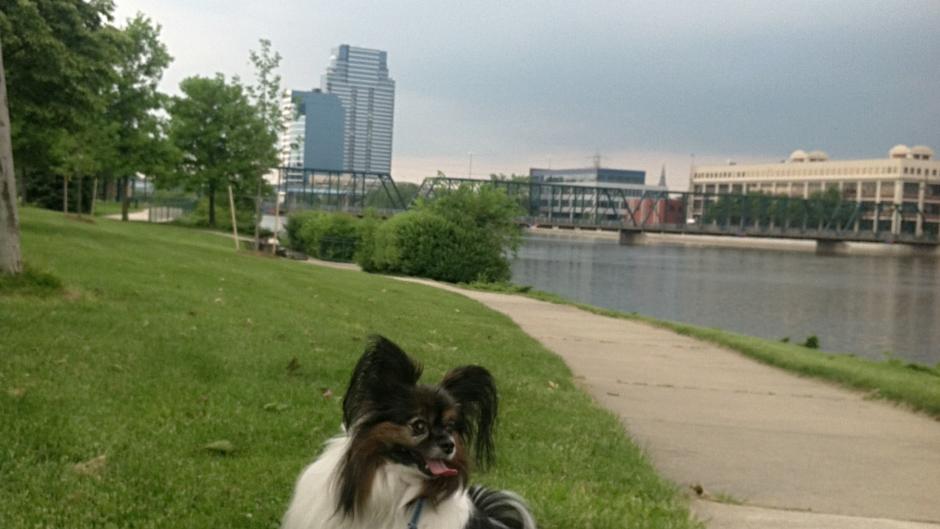 Grand Rapids' Riverwalk is also great place for a photo-op of your pup.