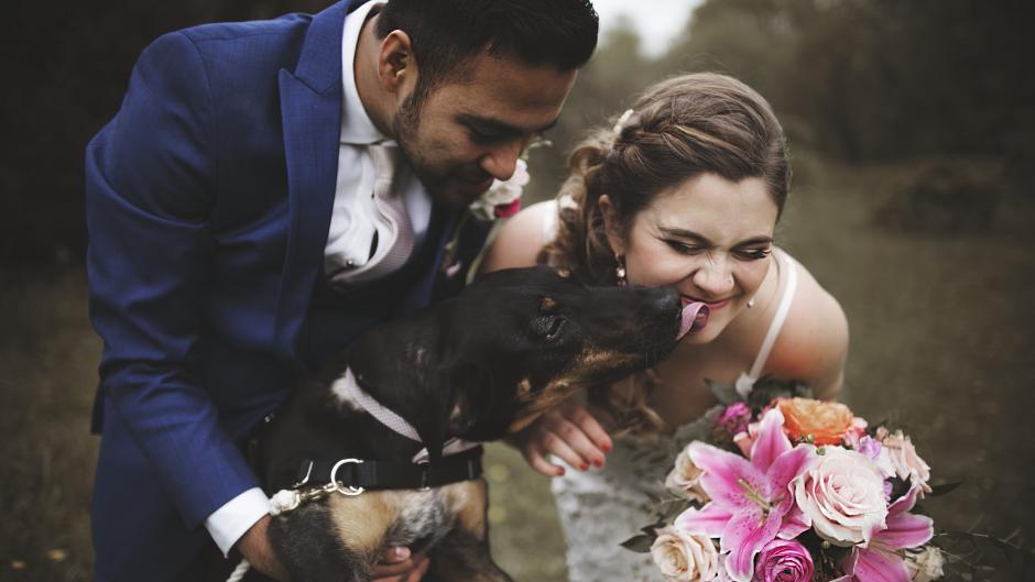 The Ramakrishnans took photos at Blandford Nature Center with their dog, Kobe.