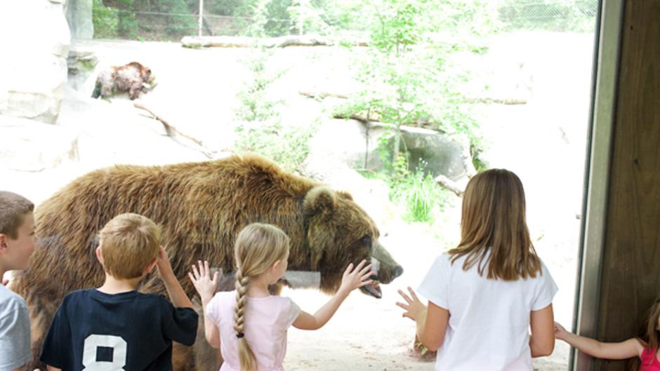 From animal exhibits to the Sky Trail Ropes Course, John Ball Zoo is enjoyable for kids and adults of all ages.