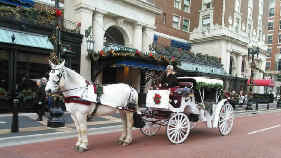 To hop on a Common Gentry Carriage ride, head to the corner of Monroe and Lyon on Friday and Saturday nights. Carriage rides are available throughout the year.
