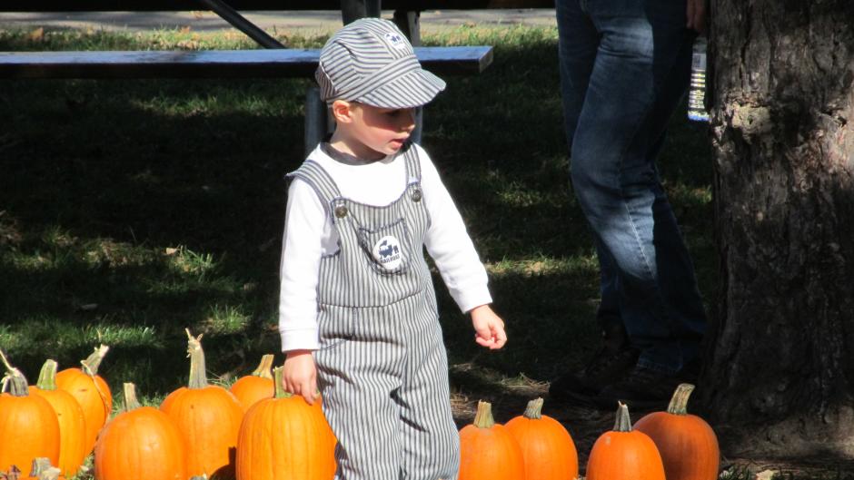 Pick up a pumpkin from one of the dozen u-pick farms in the Grand Rapids-area!