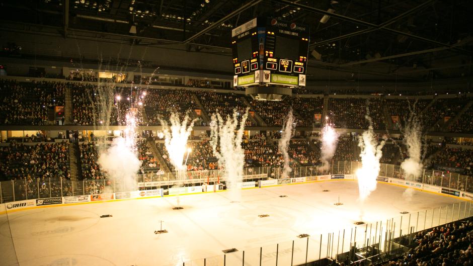 Griffins at Van Andel