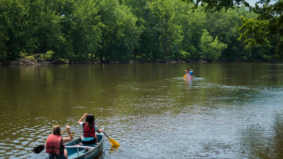 Canoe rental companies provide all materials necessary for a successful canoeing excursion.