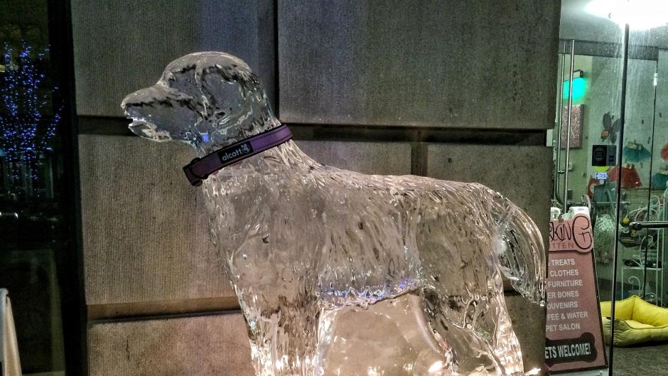 Ice sculpture of a dog at Valent-ICE