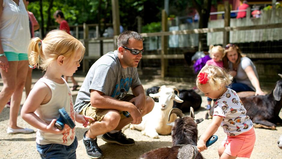 Live animal demonstrations are one of the many activities children can experience during a zoo overnight.