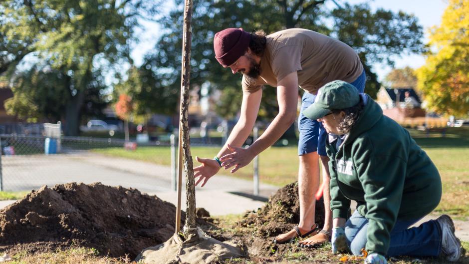 A tree planting at Congress Elementary School.