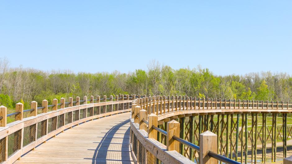Bridge at Millennium Park in Grandville