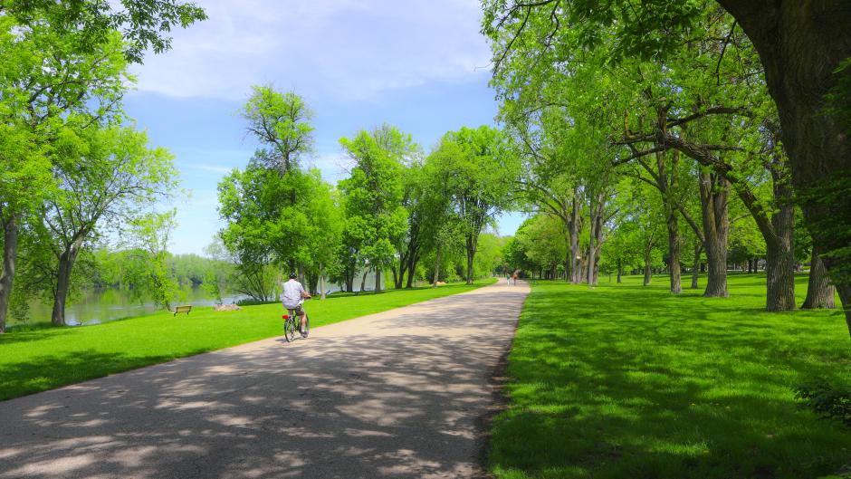 One Person Biking on Bike Path Through a Park