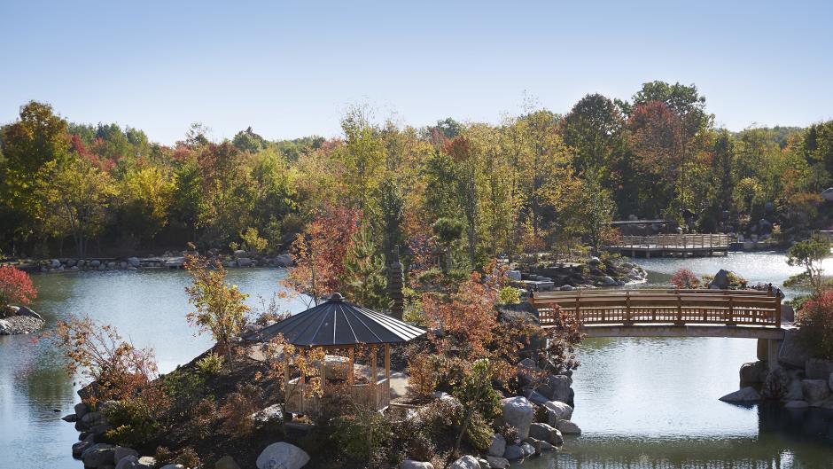 Getting to explore the Japanese Garden at Frederik Meijer Gardens & Sculpture Park in Grand Rapids is just one of the benefits of hosting your meeting there.