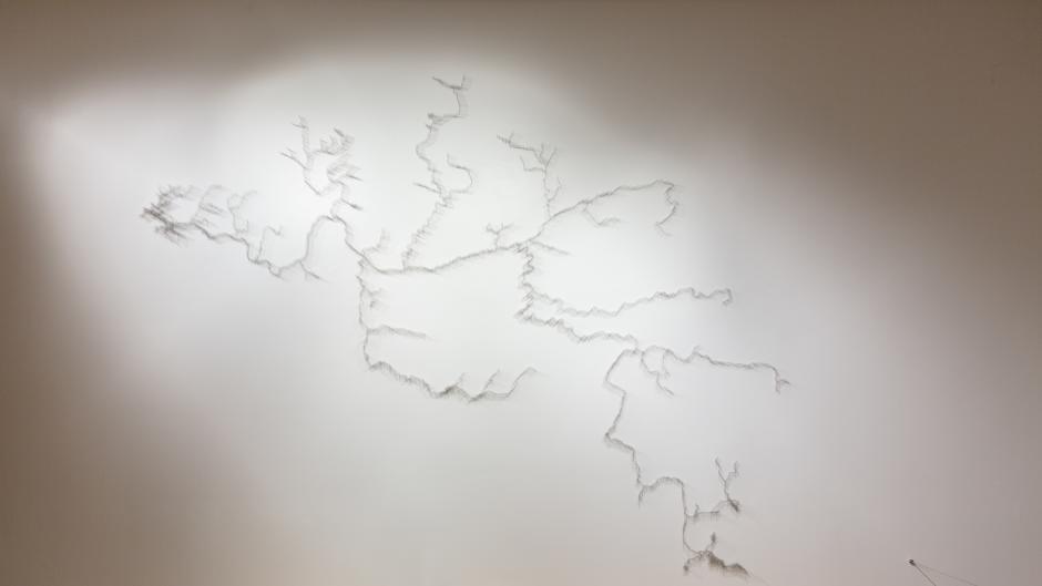 Pin River -- Grand River Watershed is one of the works Lin created for the exhibit at GRAM.