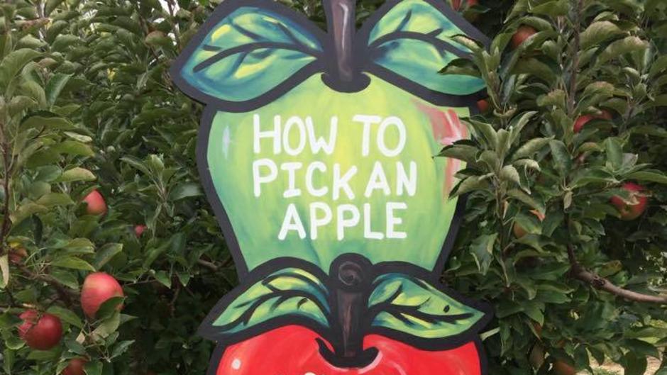 Moelker Orchards